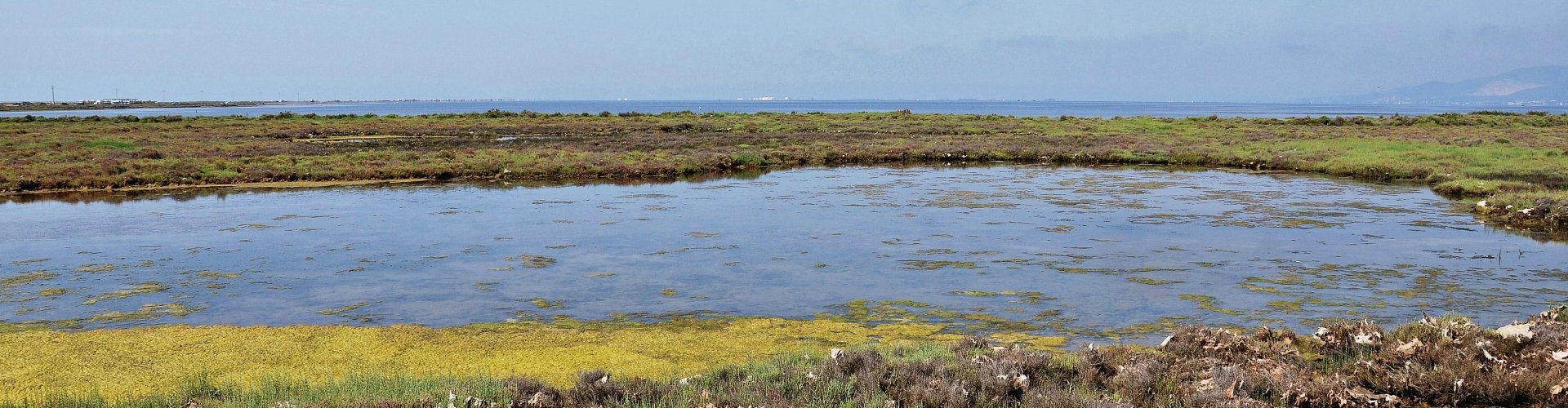 Luxury car parked in Amposta at sunset