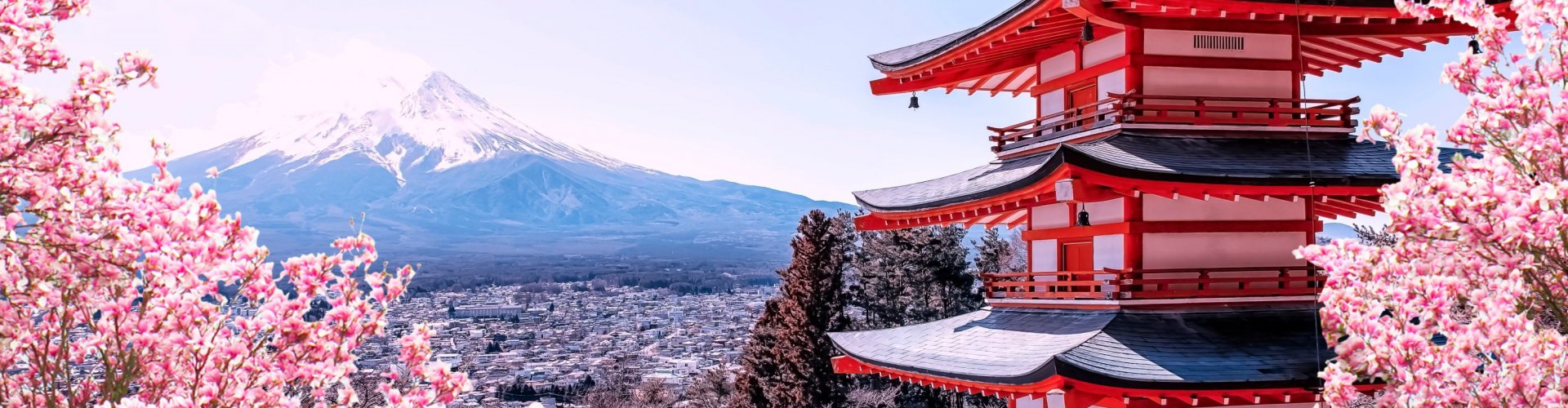 Luxury limousine in Tokyo night scene