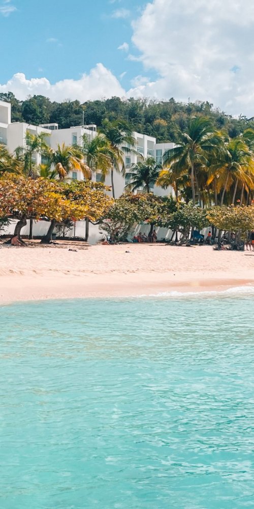 Luxury vehicle interior Montego Bay