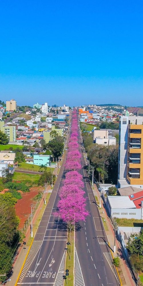 Luxury car interior with driver in Chapecó