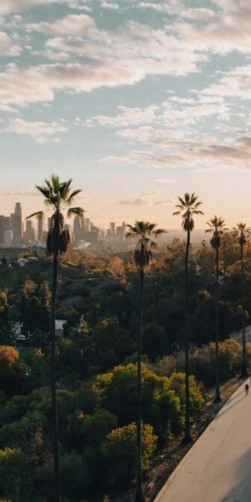 Luxury car interior Los Angeles