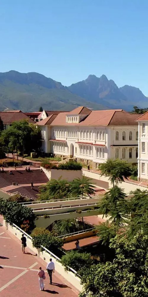 Luxury vehicle interior in Stellenbosch