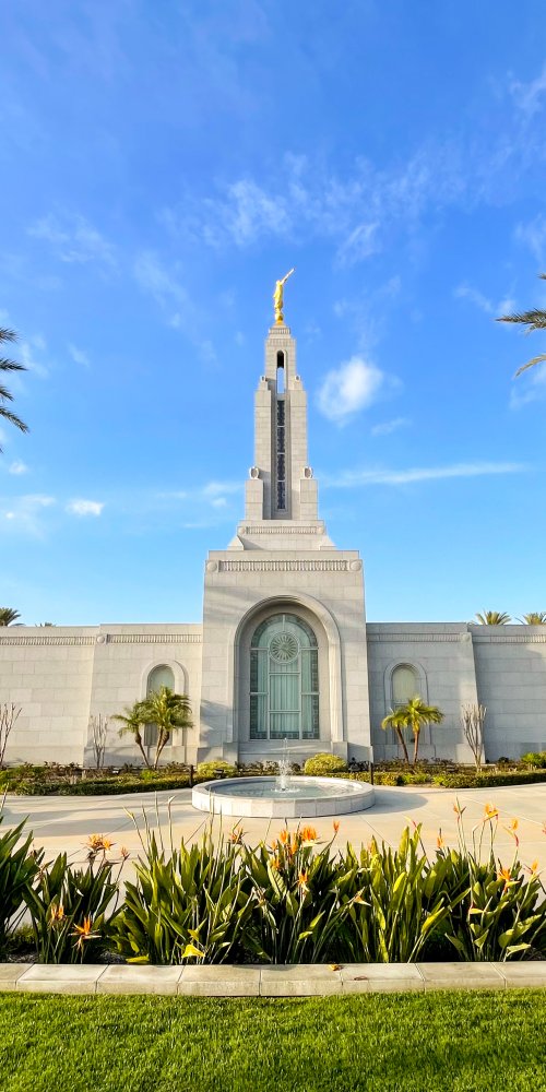 Luxury car interior Redlands