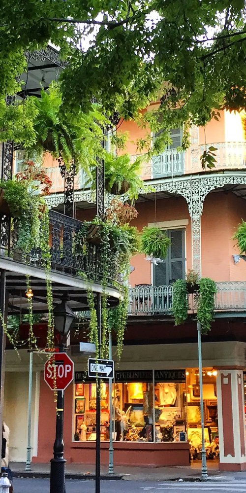 Luxury vehicle interior New Orleans