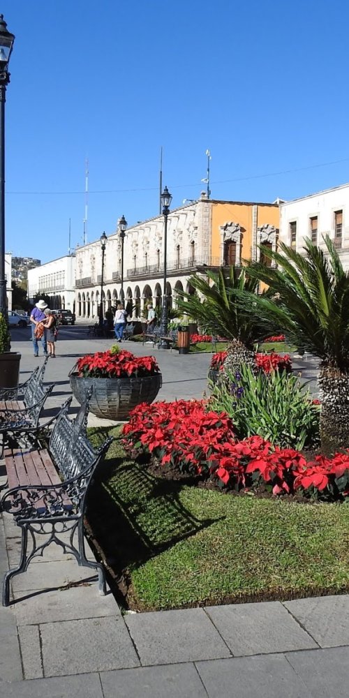 Luxury car interior with chauffeur in Durango