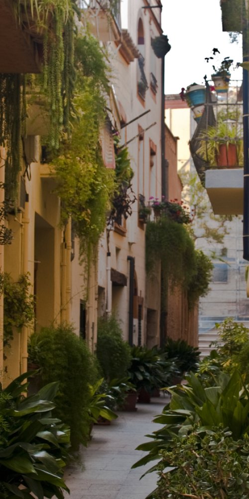 Luxury Car Interior Cambrils