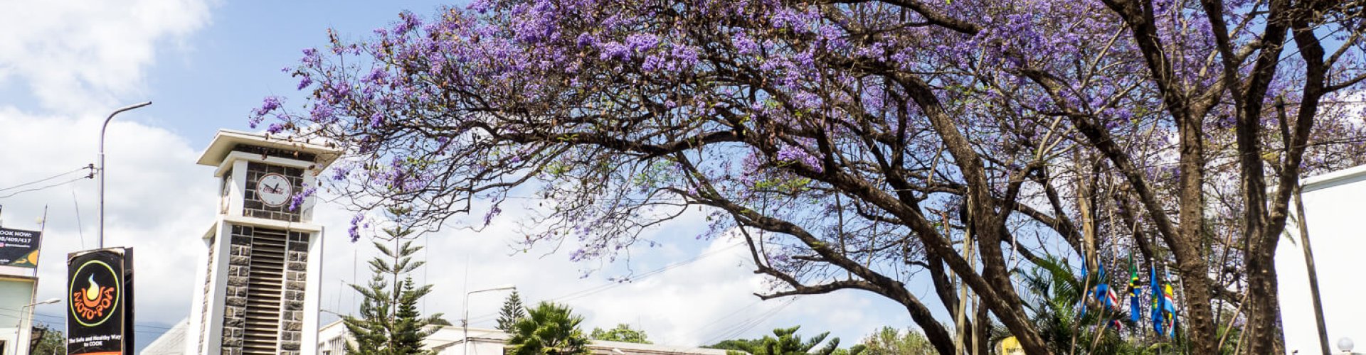 Sunset luxury ride in Arusha