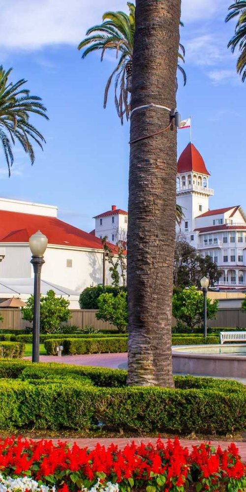 Luxury chauffeur driving through Coronado