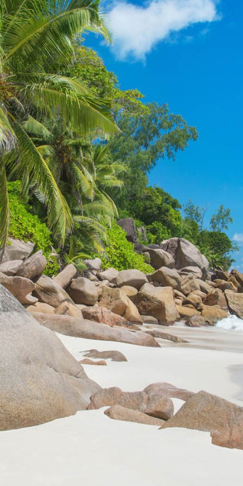 Luxury vehicle interior in Praslin