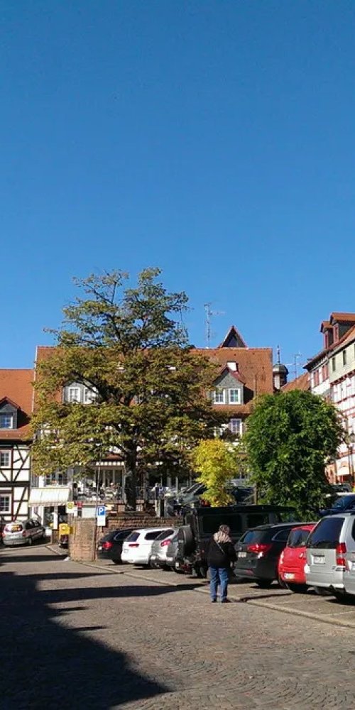 Luxury car interior in Gelnhausen
