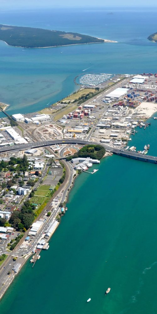 Luxury Car Interior - Tauranga