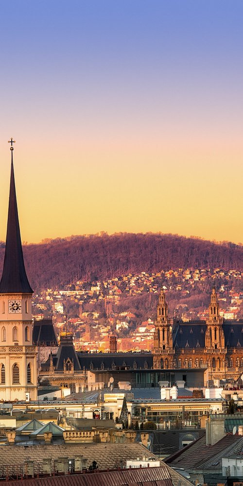 Luxury limousine interior in Vienna