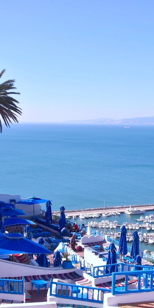 Luxury vehicle interior in Tunis