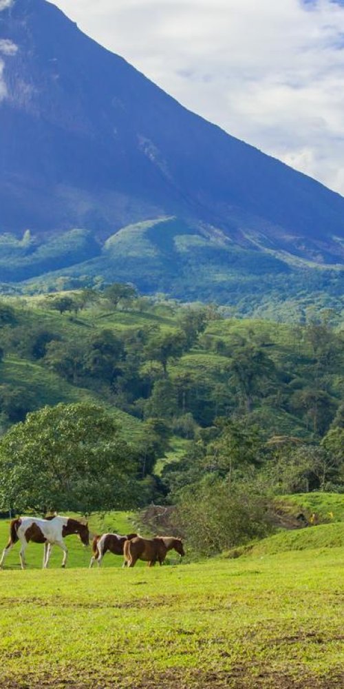 Luxury car interior Alajuela