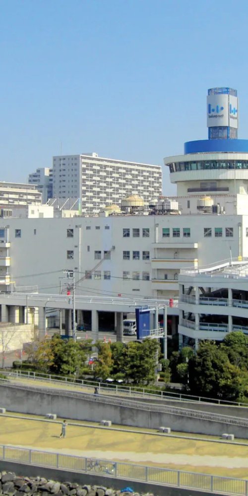 Luxury limousine interior