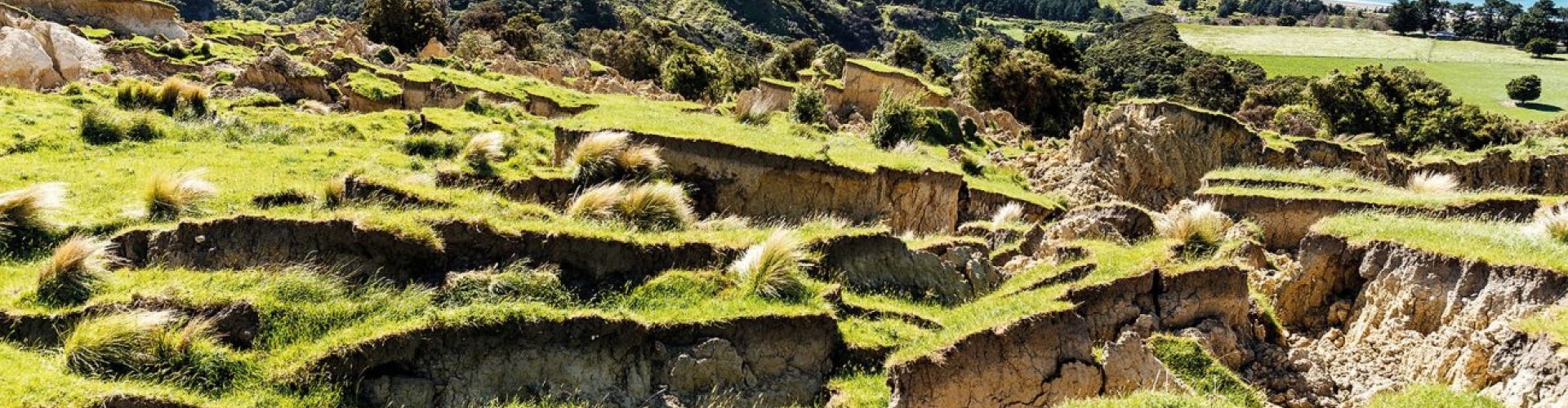 Luxury limousine on Kaikōura coastline